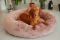 Pet Bagel Bed Caramel