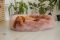 Pet Bagel Bed Caramel