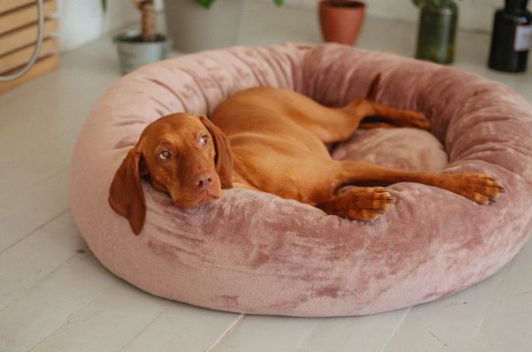 Pet Bagel Bed Caramel