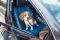 Front seat Dog cover Happy Travel