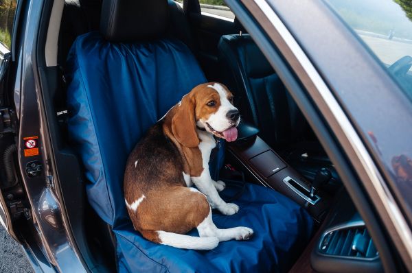 Front seat Dog cover Happy Travel
