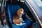 Front seat Dog cover Happy Travel