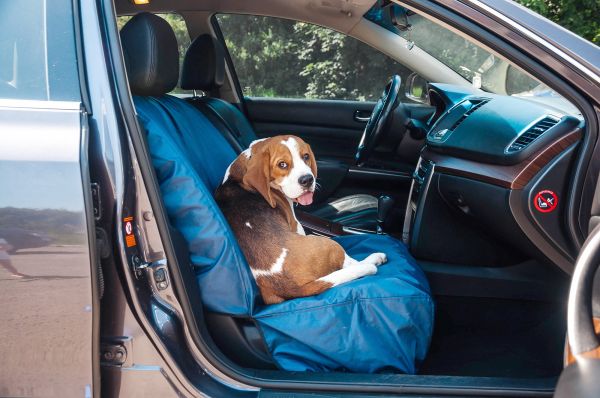 Front seat Dog cover Happy Travel