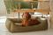 Dog & Cat bed Sweet Dreams Olive