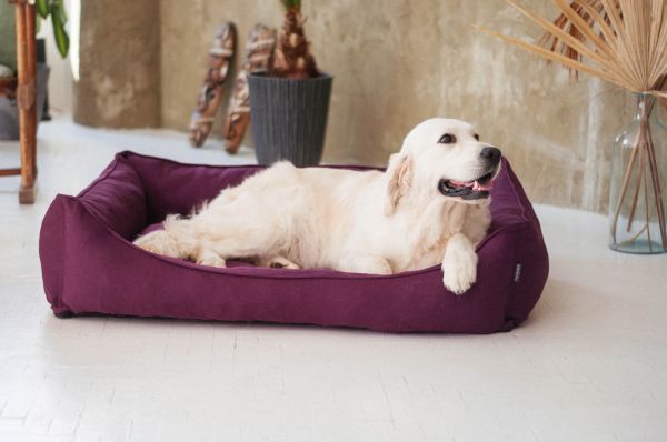 Лежак для Собак та Котів Sweet Dreams Purple рогожка