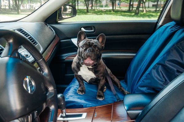 Front seat Dog cover Happy Travel