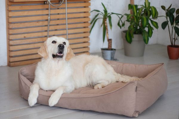 Лежак для Собак та Котів Sweet Dreams Beige велюр