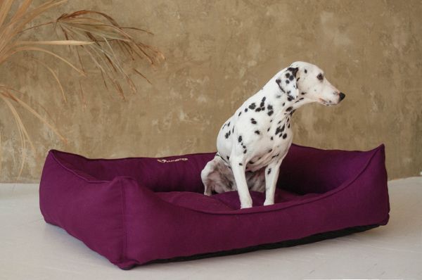 Лежак для Собак та Котів Sweet Dreams Purple рогожка