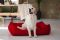 Dog & Cat bed Sweet Dreams Red
