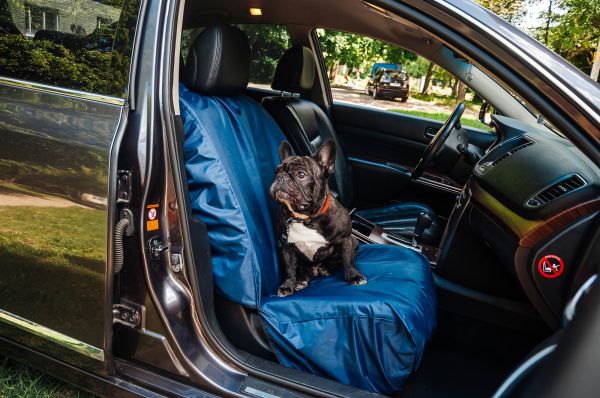 Front seat Dog cover Happy Travel