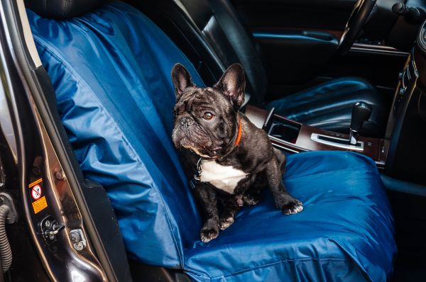 Front seat Dog cover Happy Travel