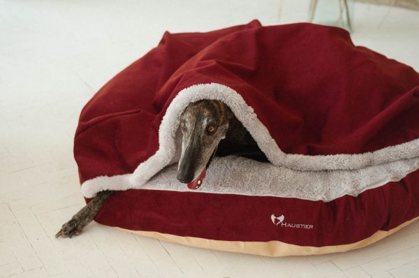 Cat & Dog cave bed Bordo