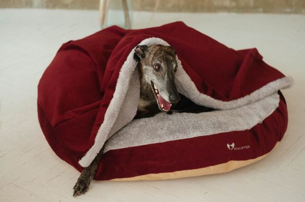Cat & Dog cave bed Bordo