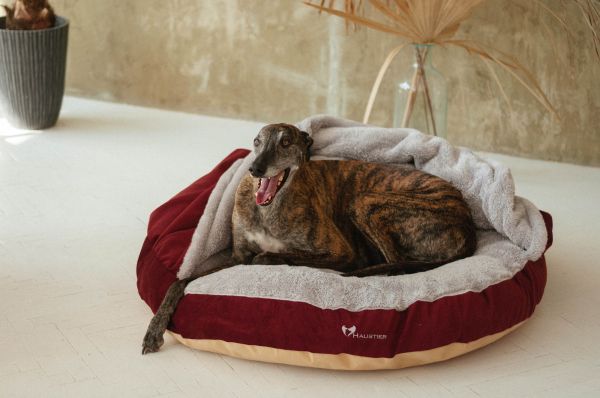 Cat & Dog cave bed Bordo