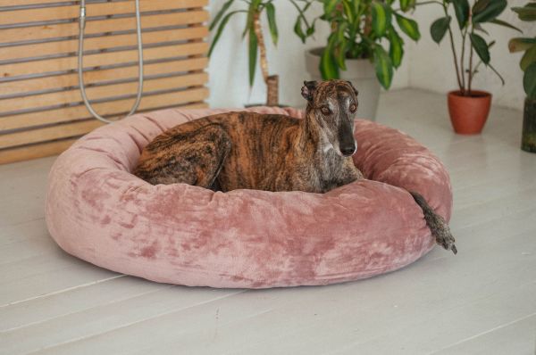 Pet Bagel Bed Caramel