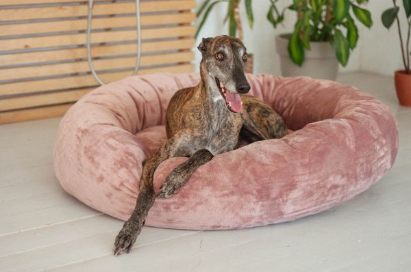 Pet Bagel Bed Caramel