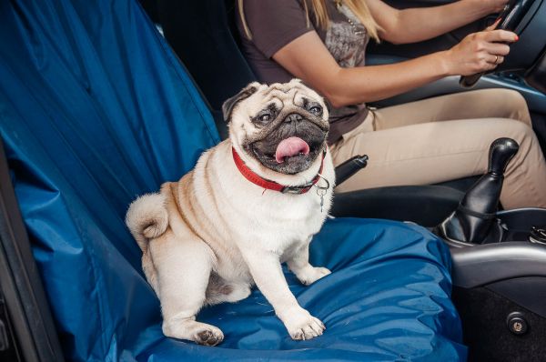 Front seat Dog cover Happy Travel