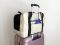Carrying bag for Dogs & Cats Voyage Ivory faux leather