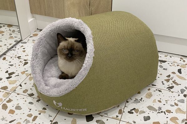 Будиночок для Кота або Собаки Cave Olive