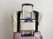 Carrying bag for Dogs & Cats Voyage Ivory faux leather