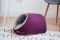 Indoor Cat & Dog Cave house Purple