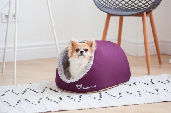 Indoor Cat & Dog Cave house Purple