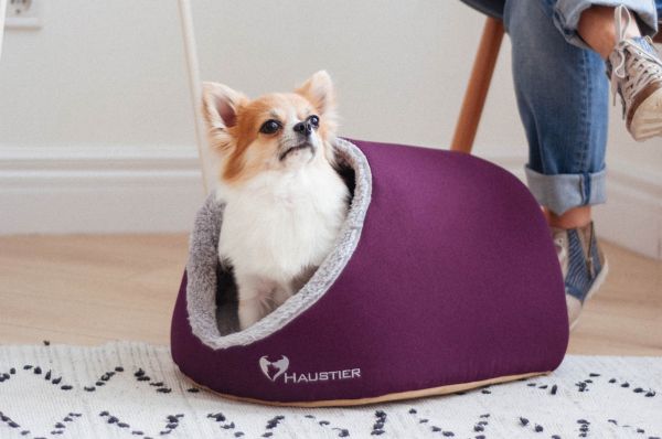 Indoor Cat & Dog Cave house Purple