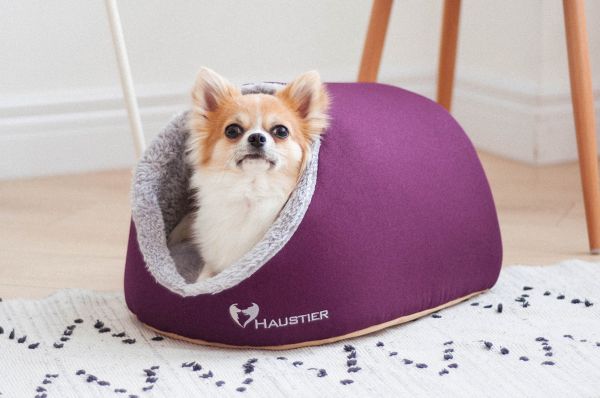Indoor Cat & Dog Cave house Purple