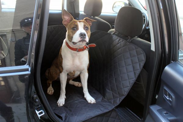 Dog Car seat cover Elegant Black 1/2 rear seat