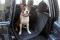 Dog Car seat cover Elegant Black 1/2 rear seat