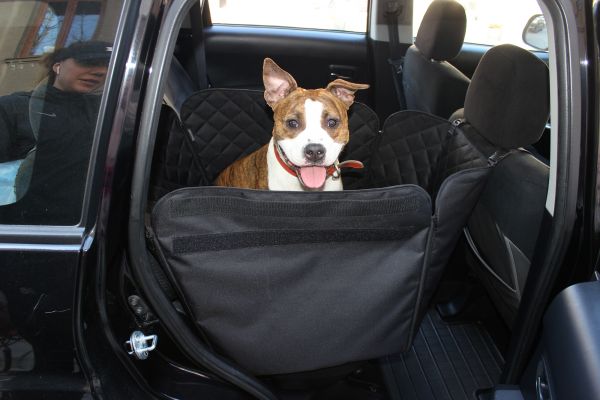 Dog Car seat cover Elegant Black 1/2 rear seat