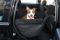 Dog Car seat cover Elegant Black 1/2 rear seat