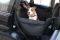 Dog Car seat cover Elegant Black 1/2 rear seat