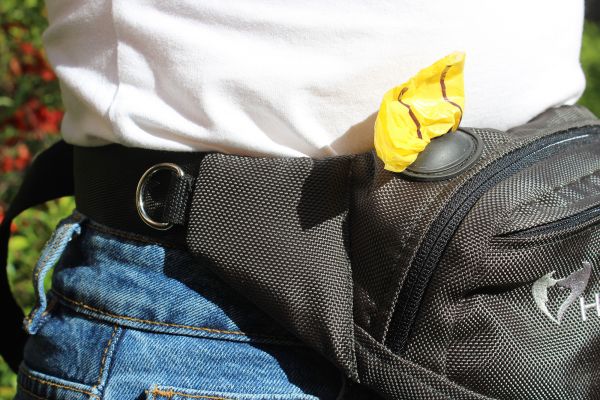 Banana Bag For Training And Walking Olive