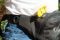 Banana Bag For Training And Walking Olive