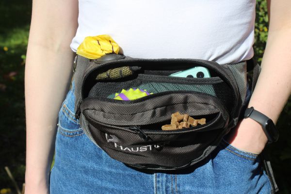 Banana Bag For Training And Walking Olive