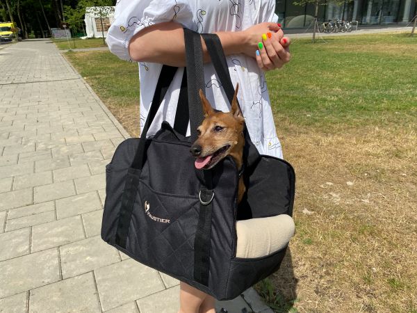 Carrying bag for Dogs & Cats Voyage Elegant Black