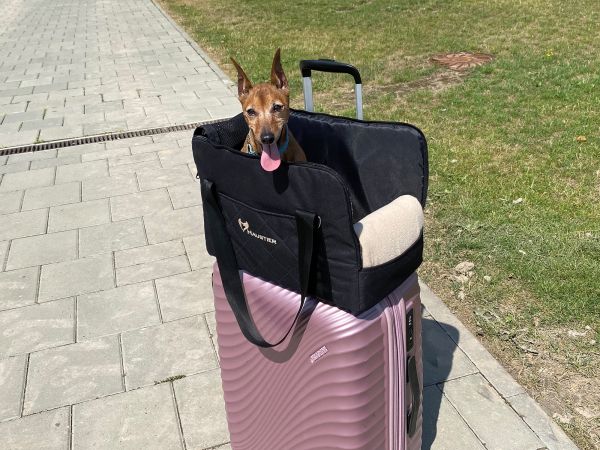 Carrying bag for Dogs & Cats Voyage Elegant Black