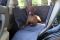 Dog Car seat cover Transformer Happy Travel Gray with door protection