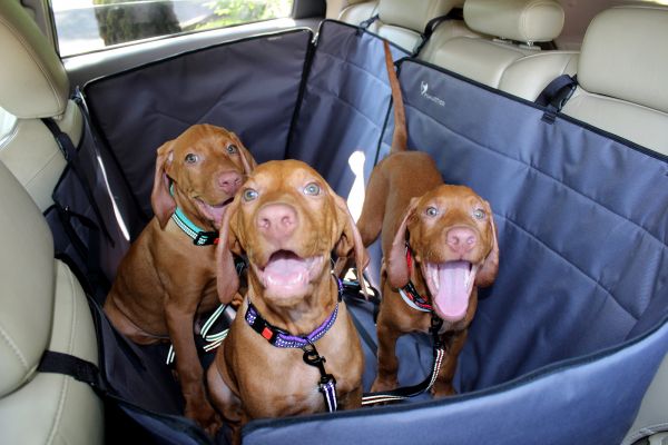 Dog Car seat cover Transformer Happy Travel Gray with door protection