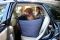 Dog Car seat cover Happy Travel Gray 2/3 of the back seat