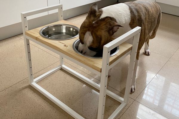 Dog Bowls Stand with adjustable height Loft White Natural Wood