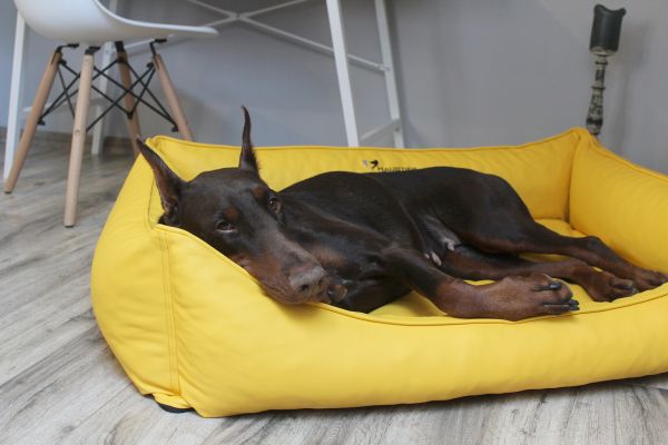 Waterproof Dog bed Sweet Dreams Lemon eco leather