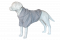 Summer Hoodie For Dogs oversized with a hood Gray XS-7XL