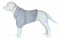 Summer Hoodie For Dogs oversized with a hood Gray XS-7XL