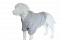 Summer Hoodie For Dogs oversized with a hood Gray XS-7XL