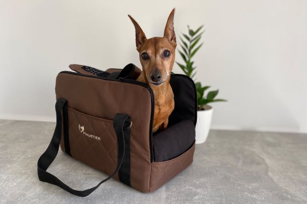 Сумка переноска для собак та котів Voyage Elegant Brown