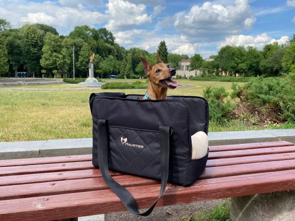 Carrying bag for Dogs & Cats Voyage Elegant Black