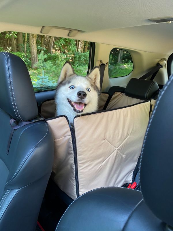 Dog Car seat cover Transformer Happy Travel Beige with door protection