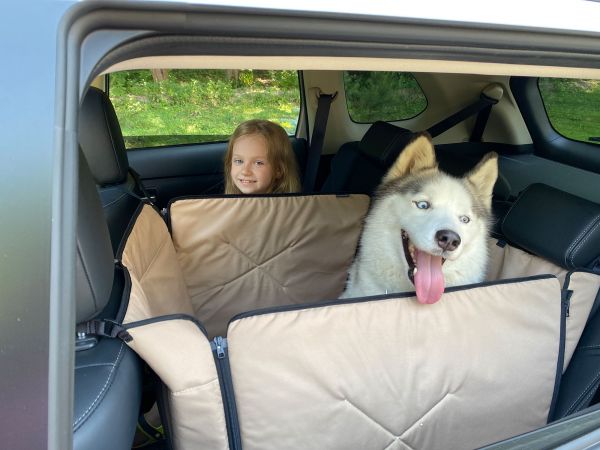 Dog Car seat cover Happy Travel Beige 2/3 of the back seat